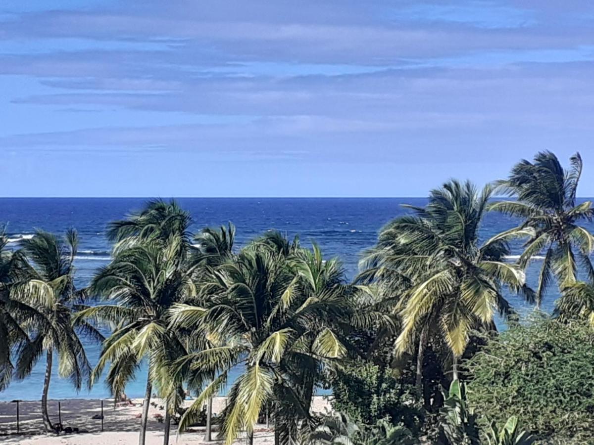Studio Vue Sur Mer Le Moule Exterior photo